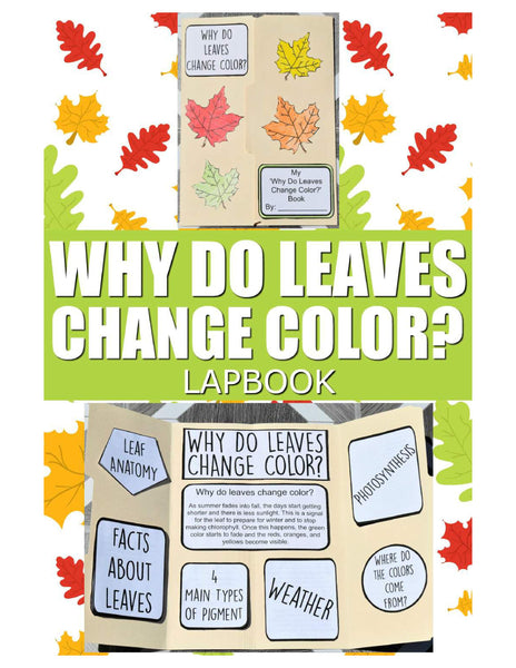 Plants, Leaves, and Seeds Project Pack