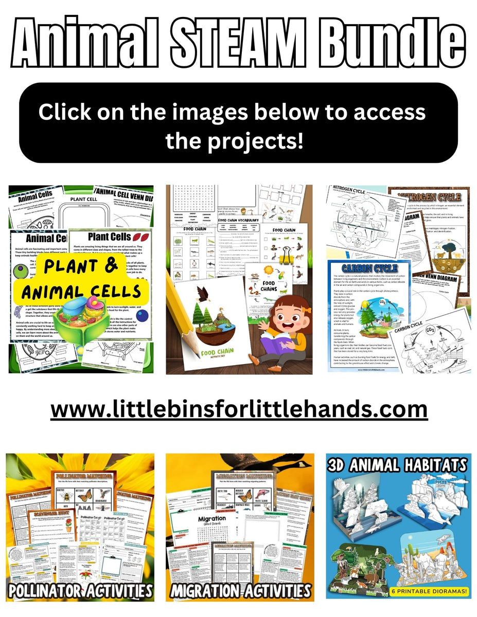 Little Hands 教材セット Nursery Animal STEAM Project Pack Bundle – Little Bins for Little Hands