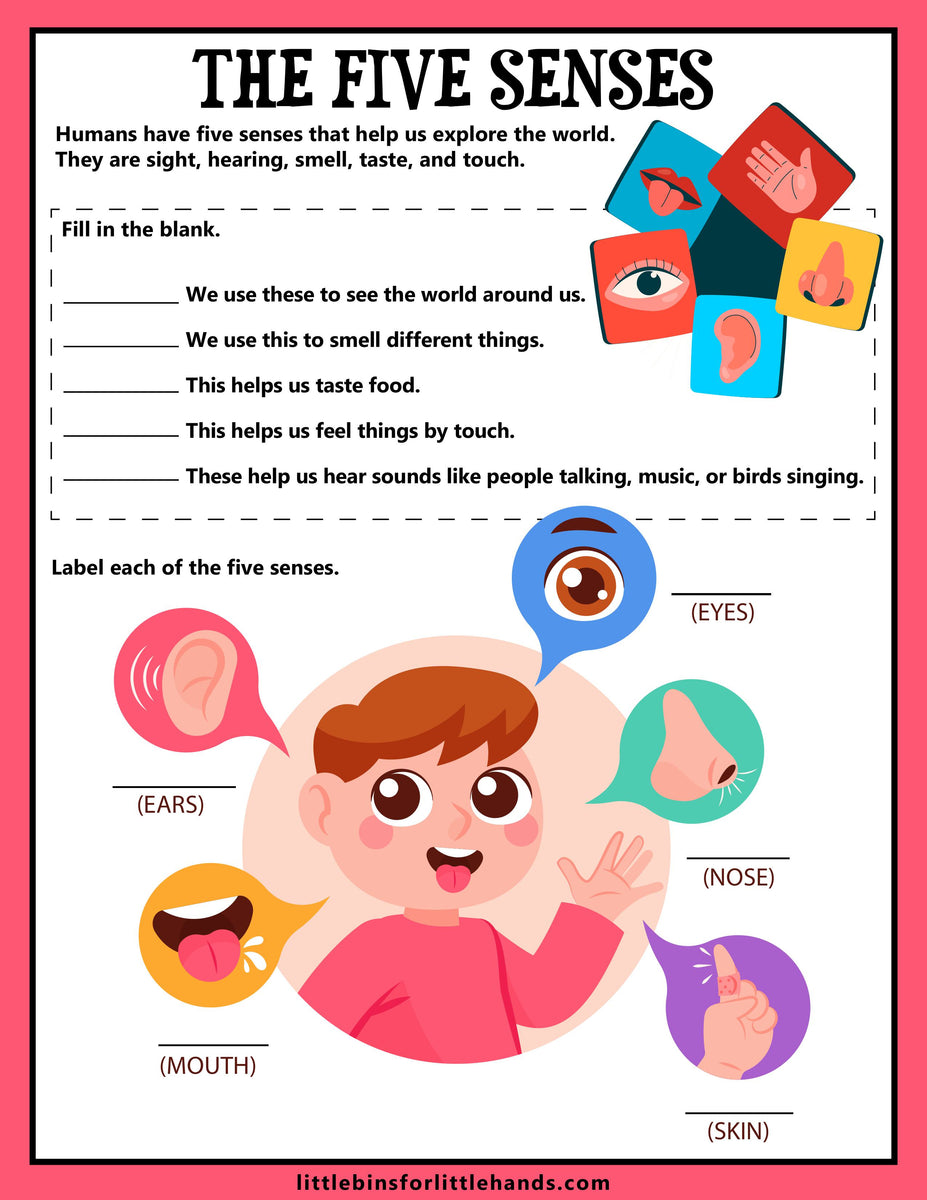 5 Senses STEAM Project Pack – Little Bins for Little Hands