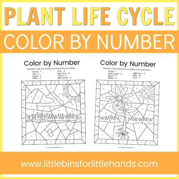 Plants, Leaves, and Seeds Project Pack
