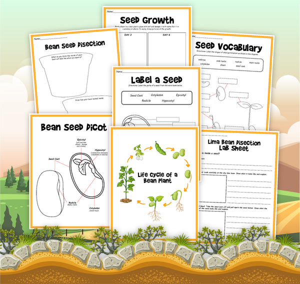 Plants, Leaves, and Seeds Project Pack
