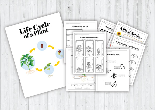Plants, Leaves, and Seeds Project Pack