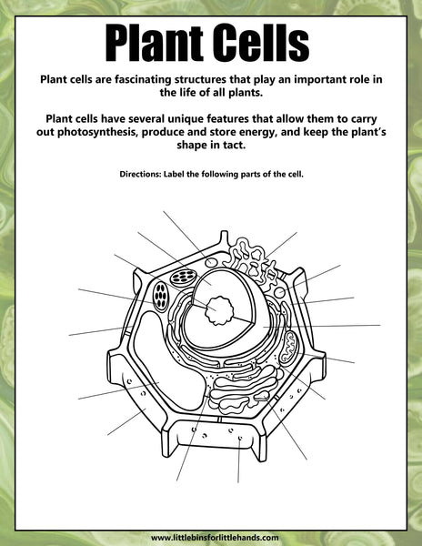 Animal and Plant Cells STEAM Activity Pack