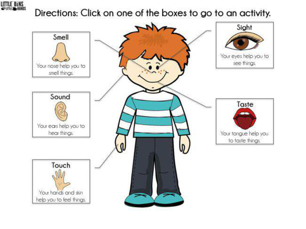 5 Senses Digital Activities Pack