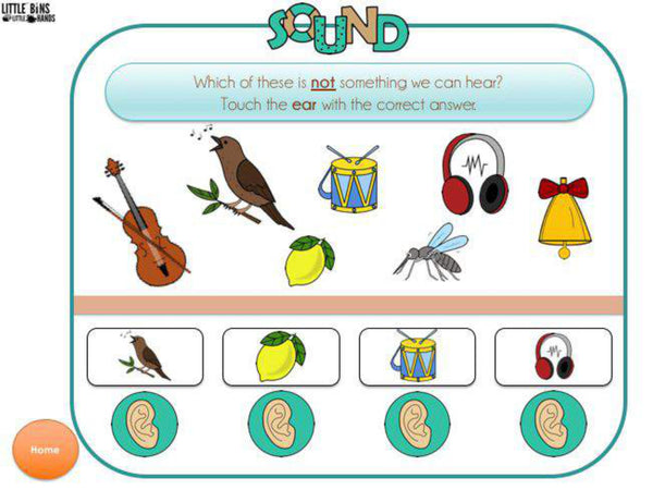 5 Senses Digital Activities Pack