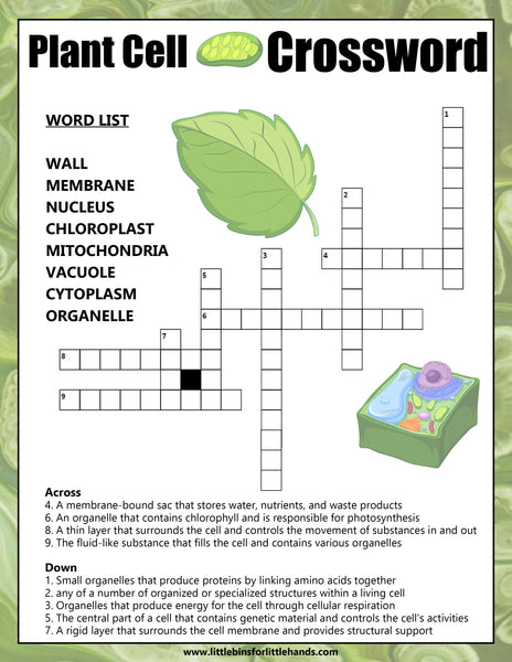 Animal and Plant Cells STEAM Activity Pack