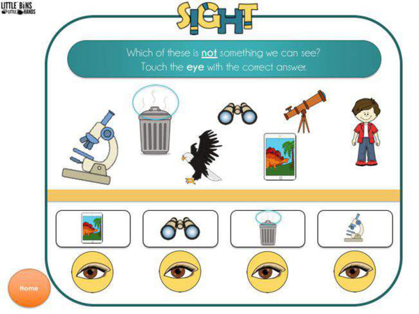 5 Senses Digital Activities Pack