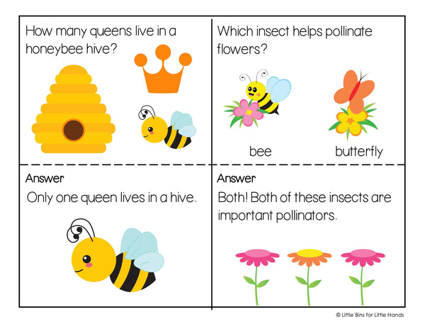 Animal and Bug Activity Pack (Early Learning)