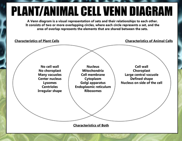 Animal and Plant Cells STEAM Activity Pack
