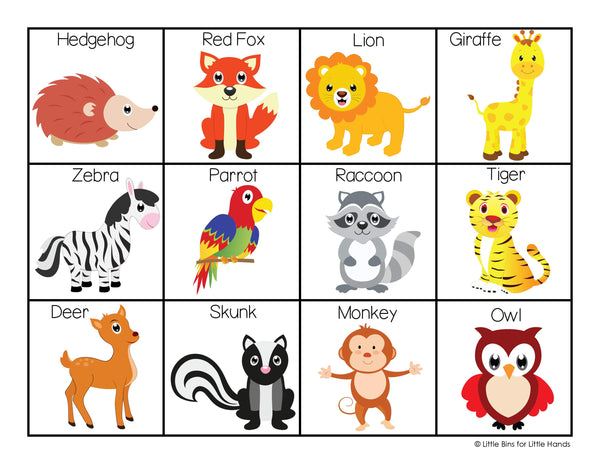 Animal and Bug Activity Pack (Early Learning)