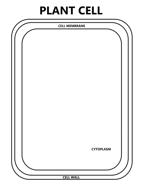 Animal and Plant Cells STEAM Activity Pack