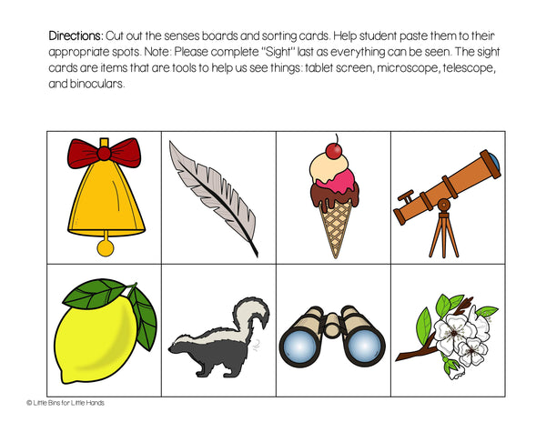 5 Senses Digital Activities Pack
