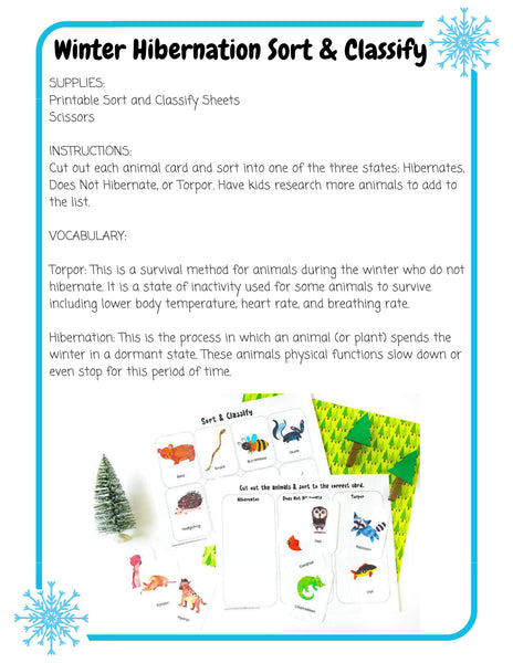 Winter STEM Pack