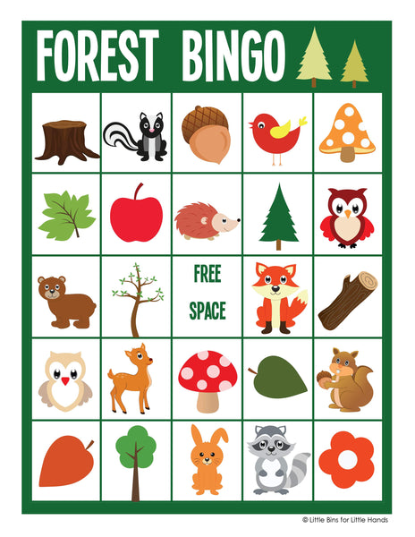 Animal and Bug Activity Pack (Early Learning)