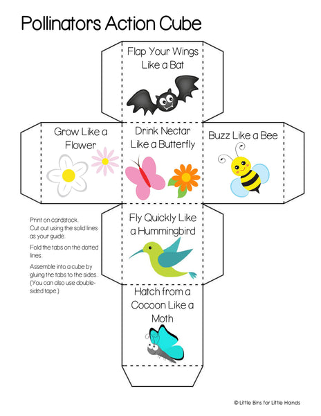 Animal and Bug Activity Pack (Early Learning)
