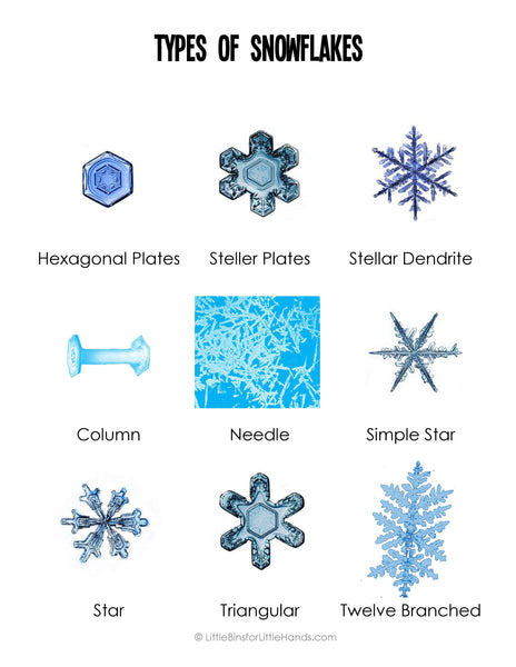 Winter STEM Pack