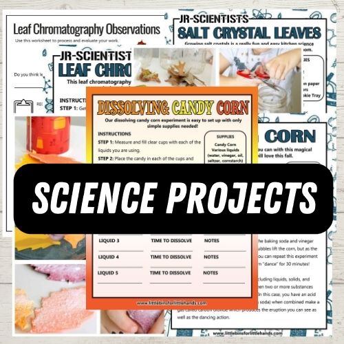 Fall STEM Pack (non-pumpkin, non-apple)
