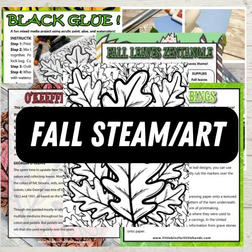 Fall STEM Pack (non-pumpkin, non-apple)