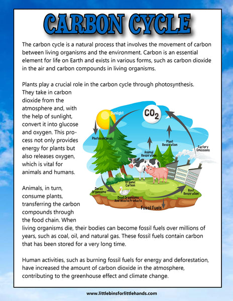 Ecology Activity Pack