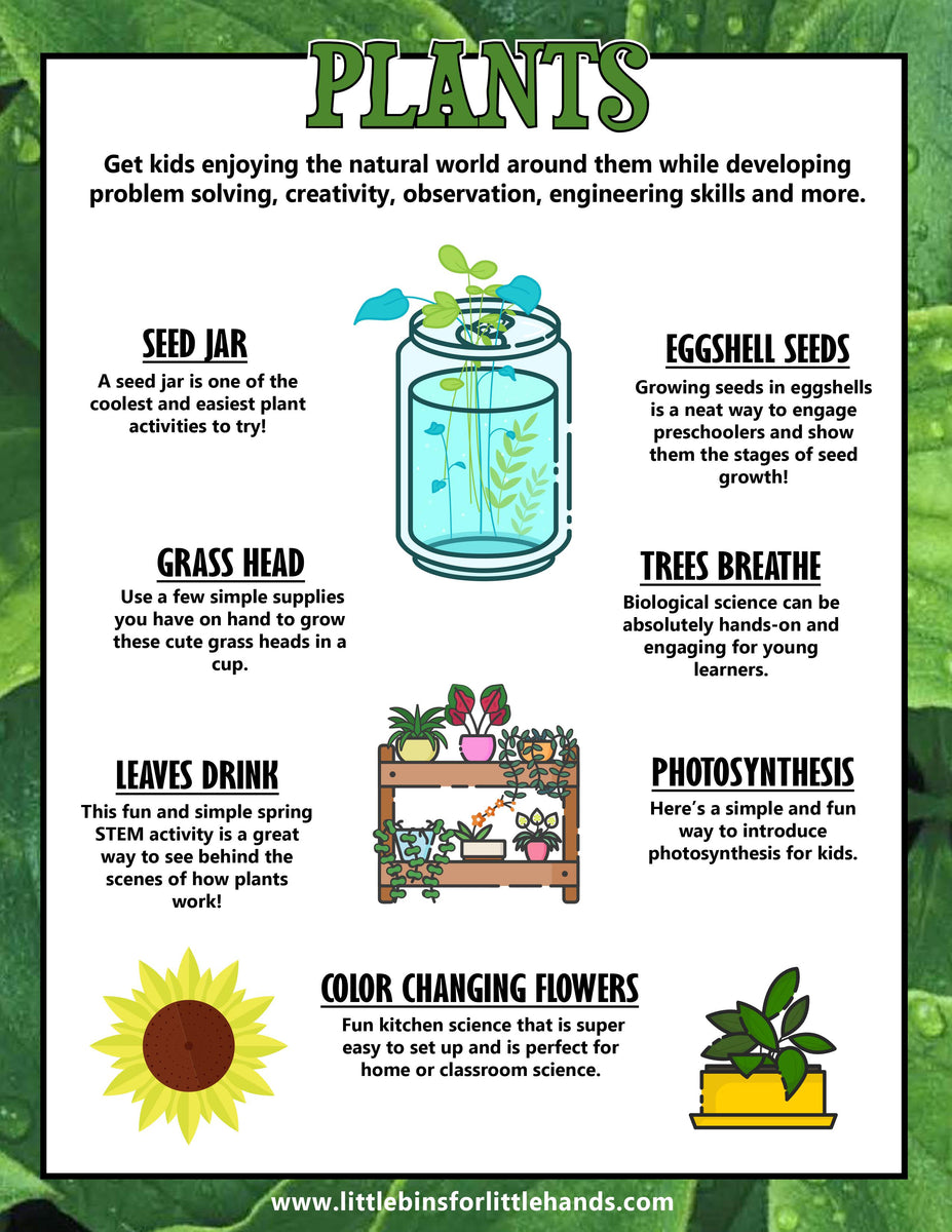Plants, Leaves, and Seeds Project Pack – Little Bins for Little Hands