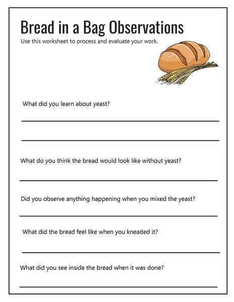 Thanksgiving STEM and Science Project Pack
