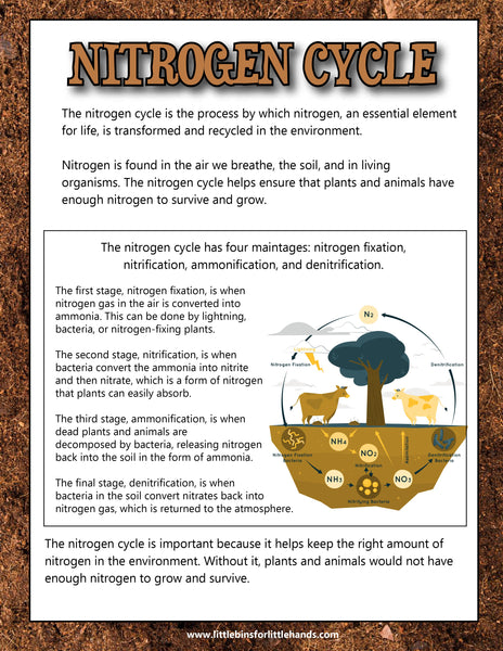 Ecology Activity Pack