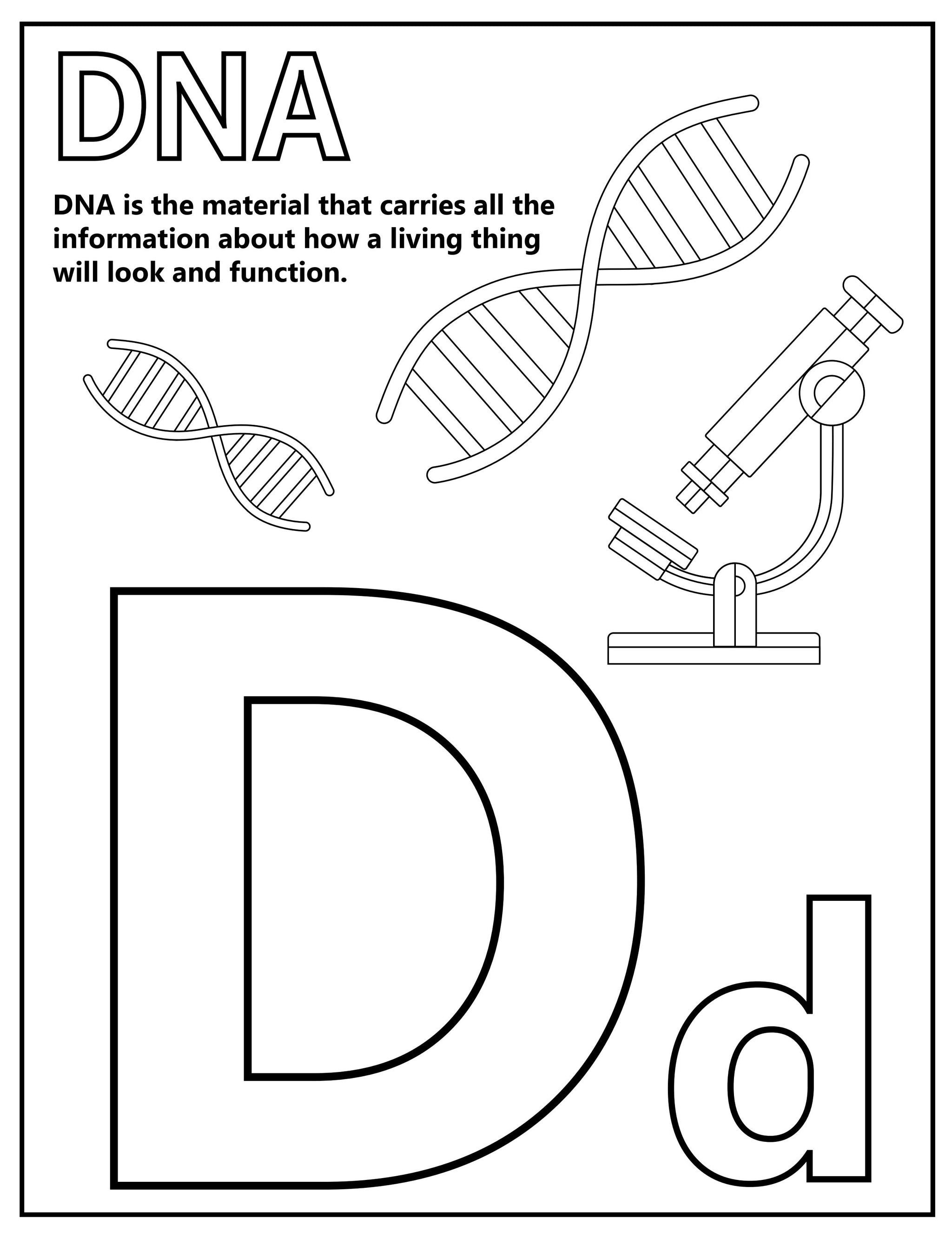 STEM Alphabet Posters or Cards Little Bins for Little Hands
