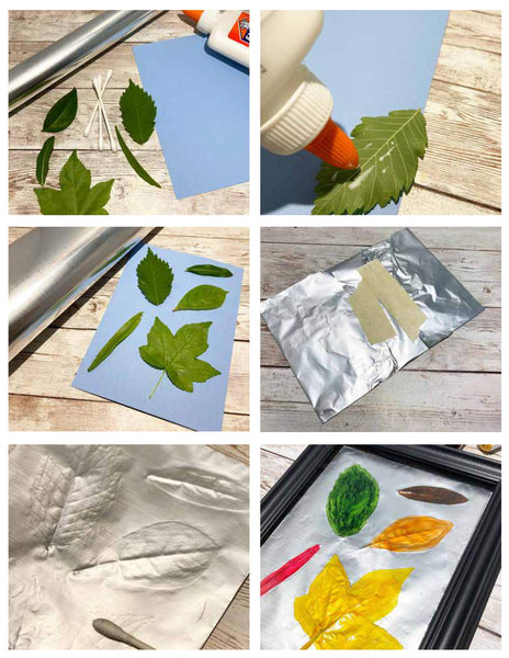 Plants, Leaves, and Seeds Project Pack