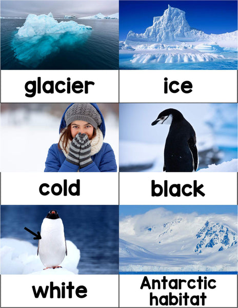 Preschool Penguin Theme Pack