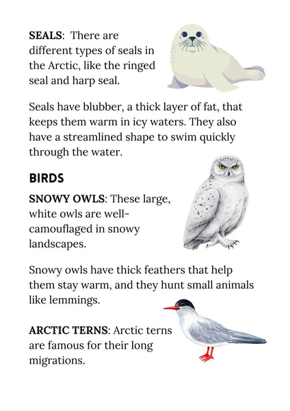 Winter Arctic Lesson Guide and Projects