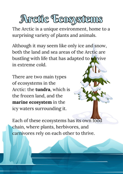 Winter Arctic Lesson Guide and Projects