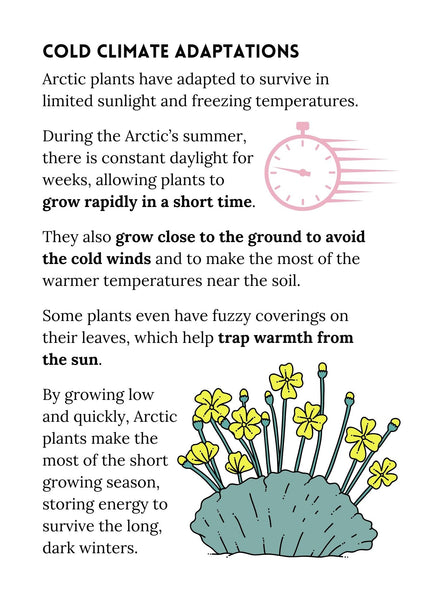 Winter Arctic Lesson Guide and Projects