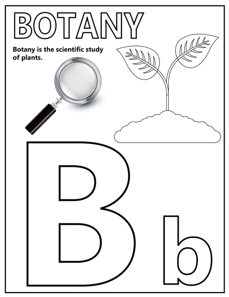 STEM Alphabet Posters or Cards