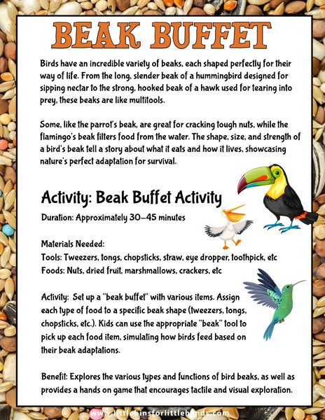 Animal Adaptations Activities for Kids