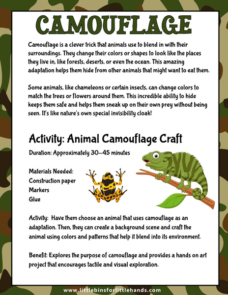 Animal Adaptations Activities for Kids