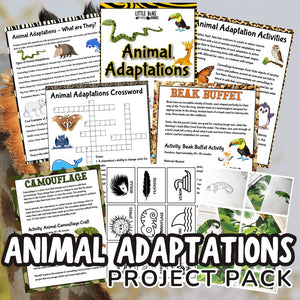 Animal Adaptations Activities for Kids