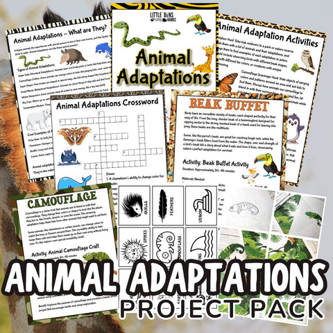 Animal Adaptations Activities for Kids