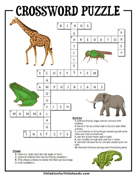 Animal Classification Activity Pack