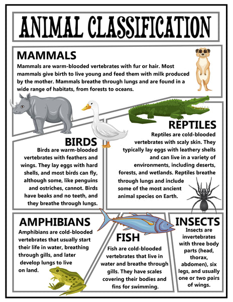 Animal Classification Activity Pack