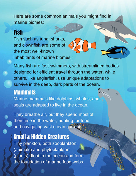 Biomes Unit Study Pack
