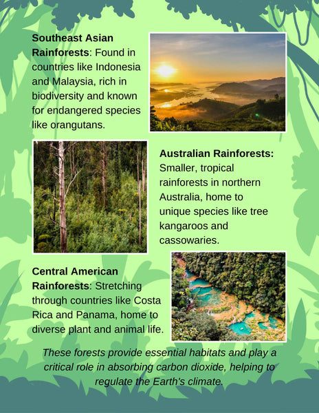 Biomes Unit Study Pack