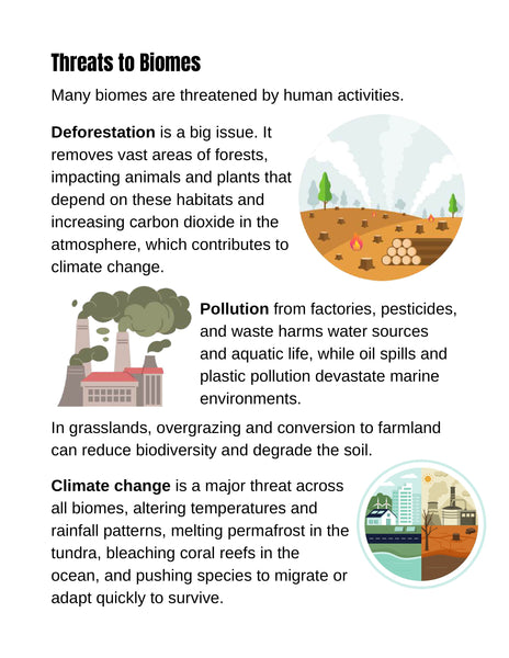 Biomes Unit Study Pack