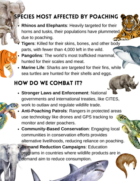 Endangered Species Lesson Guide