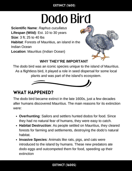 Endangered Species Lesson Guide