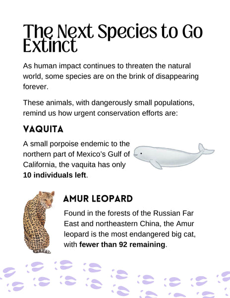 Endangered Species Lesson Guide
