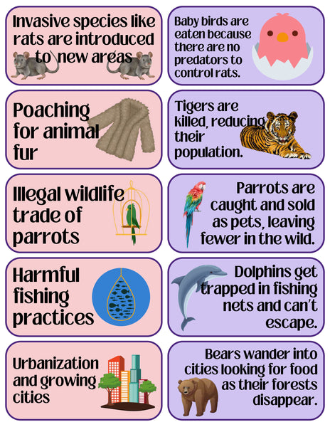 Endangered Species Lesson Guide