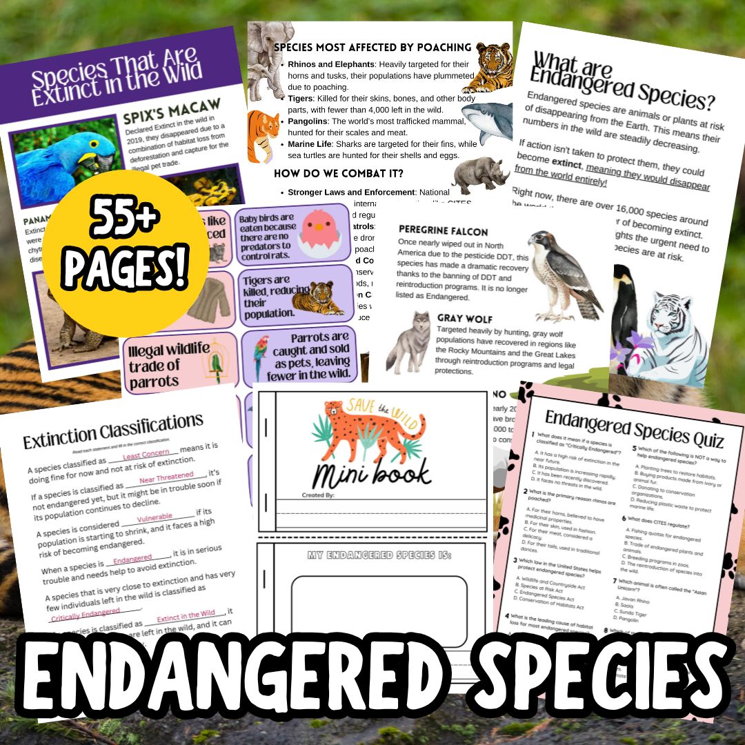 Endangered Species Lesson Guide