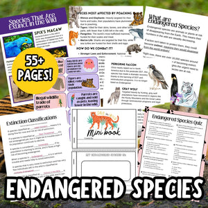Endangered Species Lesson Guide