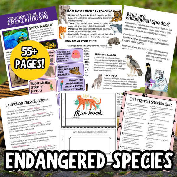 Endangered Species Lesson Guide