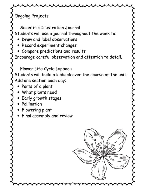 Flower STEAM Unit for Kids (K–4) | 7-Day Spring Science & Art Lesson Plan